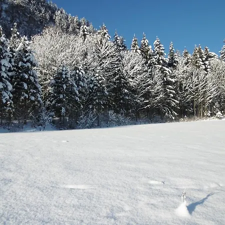 Zillertal Bacher 아파트 *